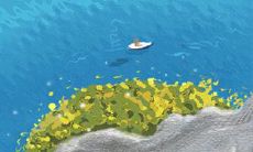 探讨双鱼座最幸福的婚姻对象，找到与其最兼容的伴侣：从性格匹配到兴趣爱好，解析婚姻成功的关键因素！