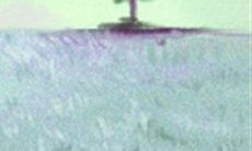 魅力女生专属!金牛座QQ皮肤带给你的独特风采