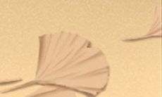 以巨蟹座特有的留学态度为主题:个性充沛、情感丰富的巨蟹座在留学中的表现和体验