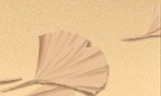 # 处女座的难搞留学心态 - 他们是如何做好万全准备?