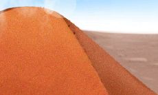 如何打造最优雅的金牛女妆容？从底妆到眼妆，教你完美呈现阳刚与温柔并存的气质