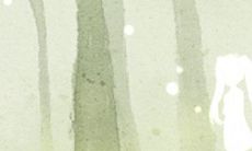 哪些行为会让双鱼女感到无法接受和容忍的男性行为?