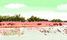 探究天蝎座老公的优点，你绝不能错过的点点滴滴！