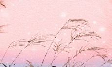 揭秘天秤座的暗恋模式:究竟是哪一套程序?