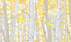 失恋怒火!被劈腿的处女男如何发泄与报复?