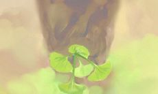 经过分手的摩羯座恋人，是否有可能复合？探究这种可能性的因素和情况