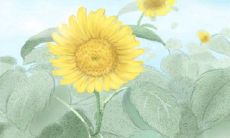 不要浪费射手座这段美好的时光,花费在谁身上?