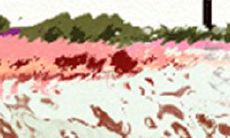 深度分析:十二生肖属鼠人的个性特质与性格类型