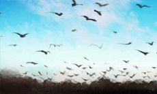 用星座看琼瑶小说中女主们的心路历程以及真实人生经历