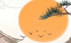 针对处女座的蚁族现象,如何制定脱离策略并实现财务自由?