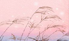 通过土豪与屌丝之间的求爱比拼来探讨摩羯座的应对策略