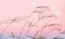 土豪与屌丝的求爱策略对决——天蝎座星座恋爱实战指南