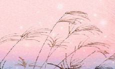 处女座土豪与屌丝之间的求爱竞争:策略与技巧详解