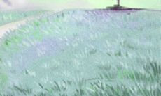 金牛座清高度最高者排行榜单