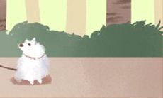 揭秘A型血12星座的个性特征:探究血型与星座对人格的影响