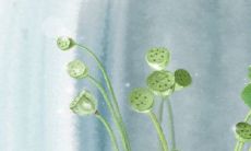 揭秘不同血型女性的追求偏好:她们都钟情于哪种男人?