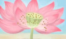 婚姻保卫战：四大血型彪悍保卫秘籍，让你的婚姻百战百胜！