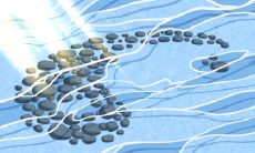 科学揭秘：深度解析天蝎座AB血型女的性格特征、情感理念与行为模式