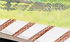 记忆犹新:摩羯座回忆初恋时的感受与情感体验