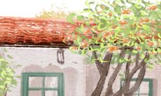 尝试改写后的标题:细致深入的十二星座女生性格揭秘 - 分析每一星座女性的性格特点及行为模式