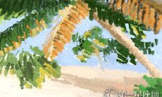 你的乐观情绪有多长时间能够持续?