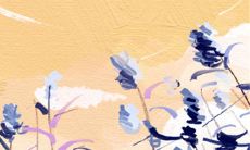 十二星座生日庆祝活动预测:他们将在哪些场所进行庆祝?