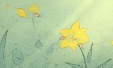 榜单：哪些星座最容易和他人发生性关系？