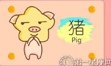 为什么属猪的人在恋爱中经常陷入僵局,导致情感不顺,有哪些原因?