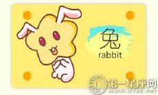 为什么兔子座的人在恋爱中经常陷入僵局？