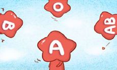 以直接而锐利的措辞震惊人心的极富攻击性的血型话语家