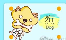 什么是属狗人在爱情中闪耀的点?