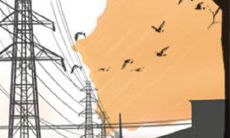 之旅:探索十二星座内心深处的脆弱、生命哲学和人生之路