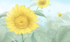 究竟在职场中,十二星座都会扮演哪些角色呢?