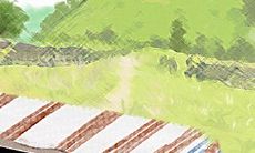 哪五个星座最擅长忠于梦想并与之奋斗?