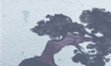 通过莫言的解析,深入了解双鱼座的性格特点以及其所涉及的方方面面的事情