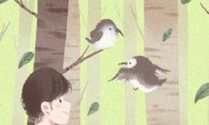 揭示十二星座如何施展恋爱魔法的实用技巧