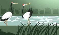 十二星座如何通过简单易行的方法提高智商水平,并在人生中取得更大的成功?