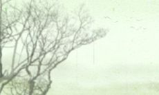 通过恋爱能够改变命运的星座配对,让你的人生轨迹焕然一新!