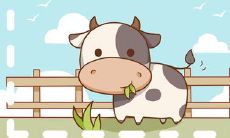 2023年属牛人第一运程详细解析查询完整版：财运、感情、事业均有喜庆之兆！