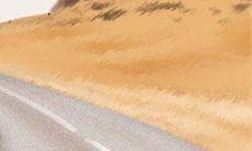 为什么十二星座总是错过真爱，而错爱或错失的背后都有哪些特质和因素？