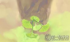 这里有完整的金牛座女性著名艺人名单