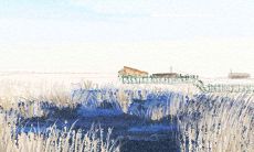 本月您是否凭借花呗来维持生计的可行性将得到测验?