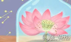 测测你在2019年春节是否幸运到赌场好运环绕？