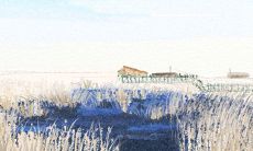 当年轻慢慢逝去,你会如何适应老年人生活,面对生命中的挑战?会变成怎样的老年人,你预计过怎样的人生状态?