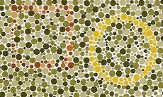 如何测试您的色觉是否正常?建议使用色盲色弱测试图以及答案来辅助判断!