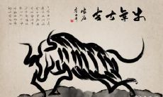 2023年属马的人该怎样提高土命运势以获得更好的发展和成功?