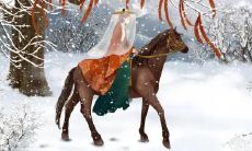 五行属金的属马人适合从事哪些行业和职业?