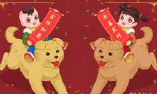 如何通过食物来开启属狗人的财运:揭秘最容易带来财富的几种食物