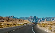 除了传统的红色，属狗还有哪些颜色可以穿来旺财？能否开上一辆豪华的路虎？