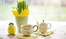 这对婚后的生肖夫妇:女生肖最为情有独钟,讲究卫生干净;男生肖忠于婚姻,只有爱妻一人